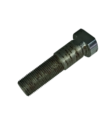 Болт 10.01.15.638 L=65